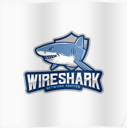 Wireshark 4.6.9 + Portable